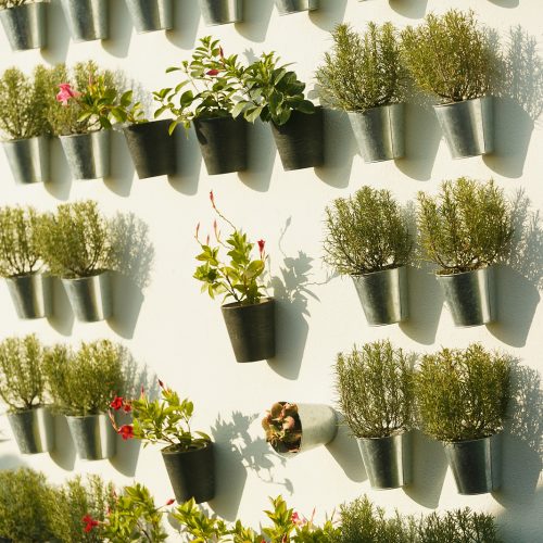 подрядчики на свадьбу, вопросы и ответы